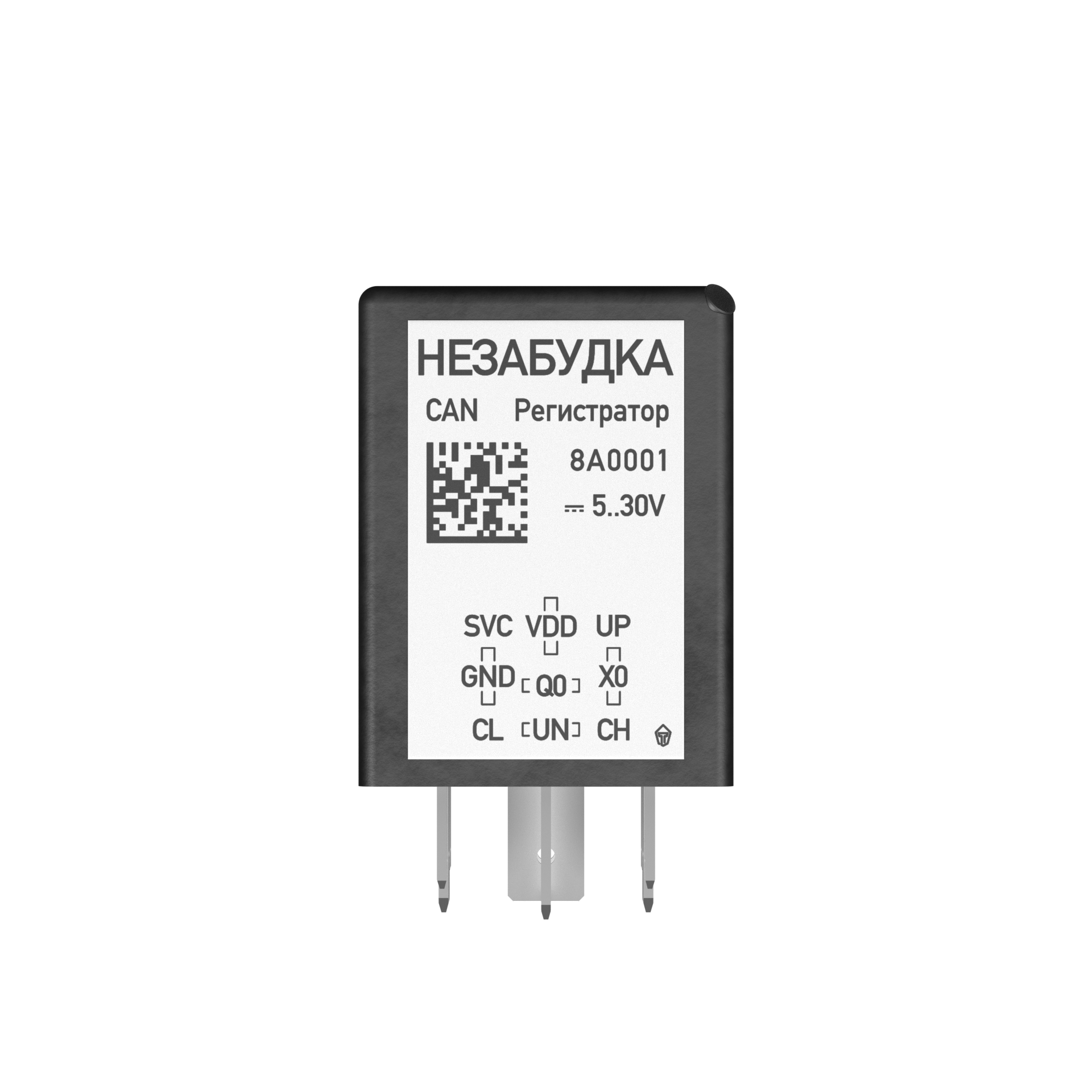 НЕЗАБУДКА